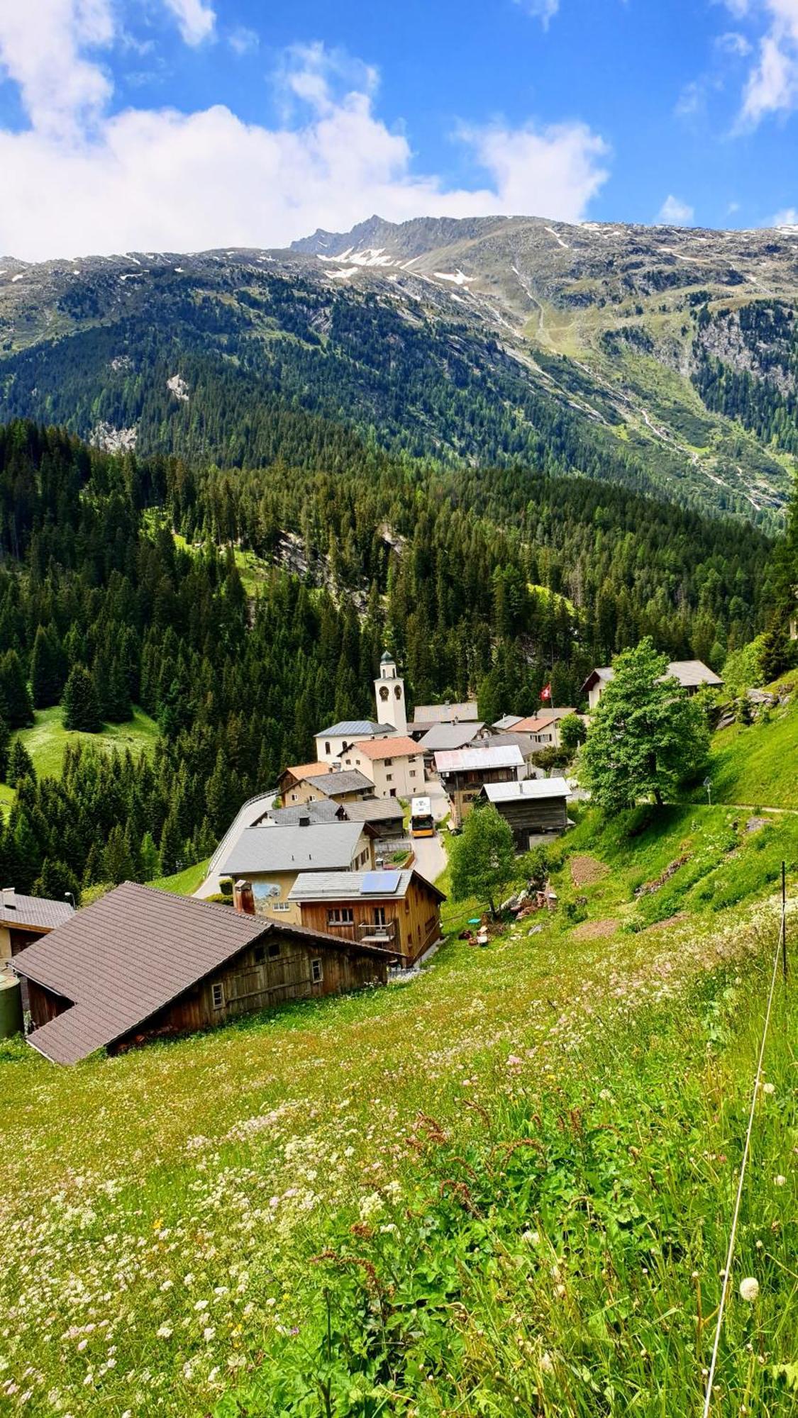 Gasthaus Alpenrose Innerferrera Exteriér fotografie