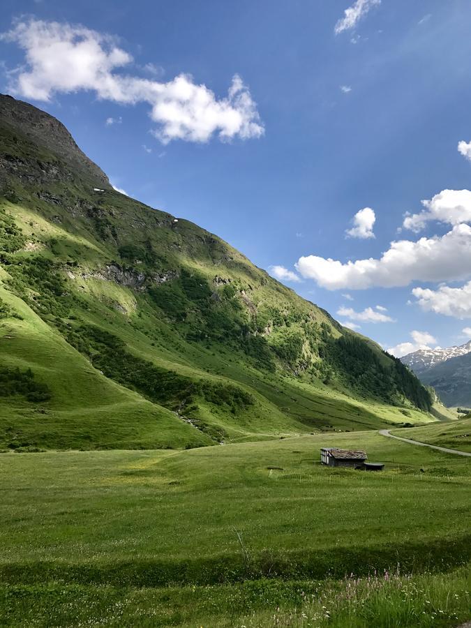 Gasthaus Alpenrose Innerferrera Exteriér fotografie
