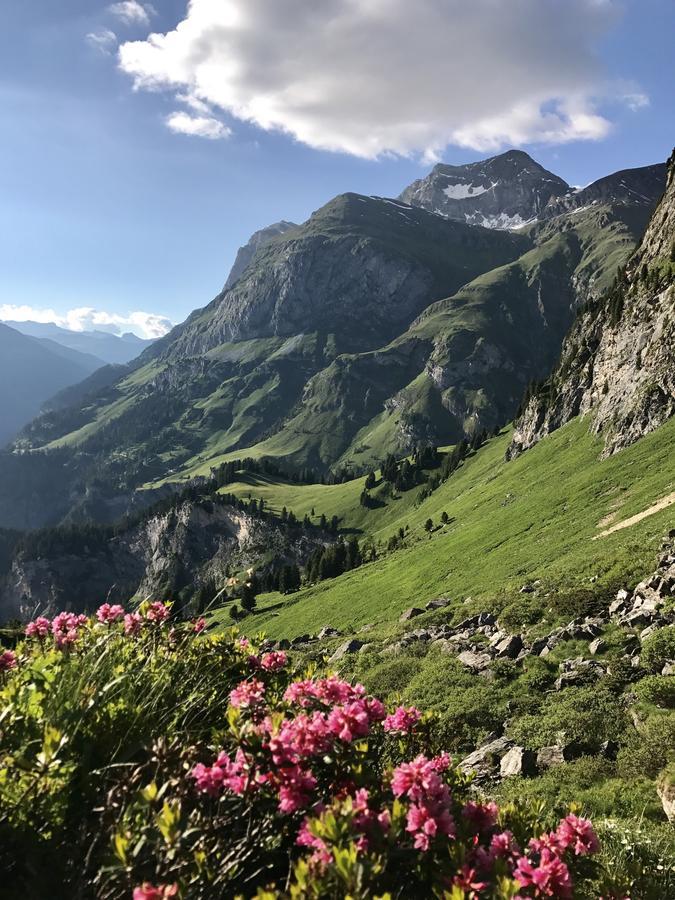 Gasthaus Alpenrose Innerferrera Exteriér fotografie